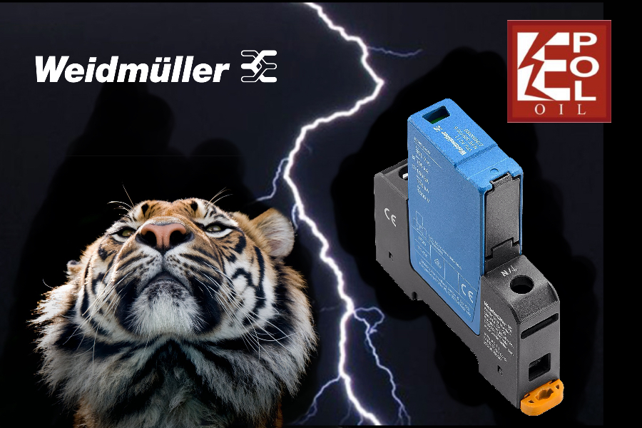 TECNOLOGIA WEIDMÜLLER